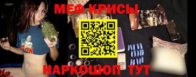 индика Камышлов