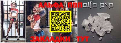 индика Камышлов