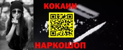 индика Камышлов