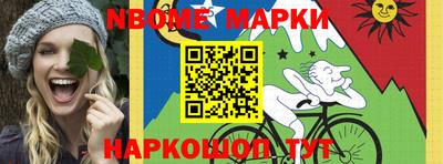 индика Камышлов