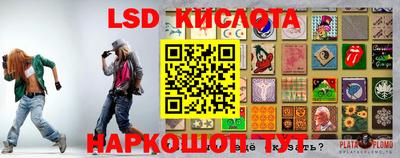 индика Камышлов