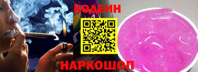 индика Камышлов