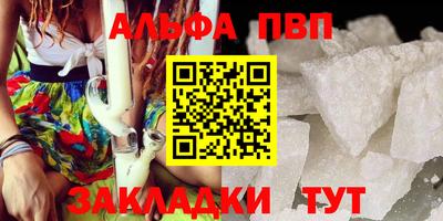 индика Камышлов