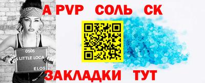 индика Камышлов